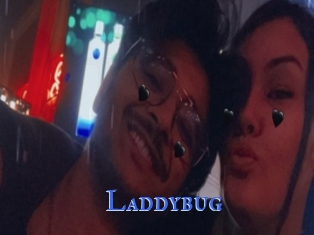 Laddybug