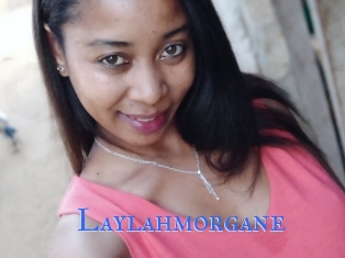 Laylahmorgane