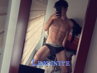 Leoignite