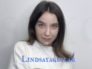 Lindsayaguilar