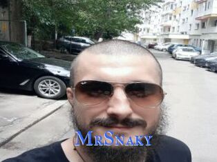 MrSnaky