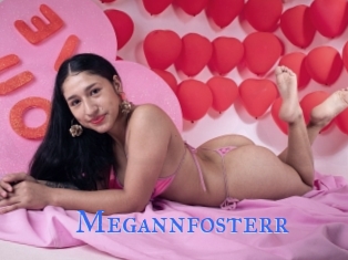 Megannfosterr