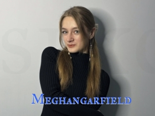 Meghangarfield