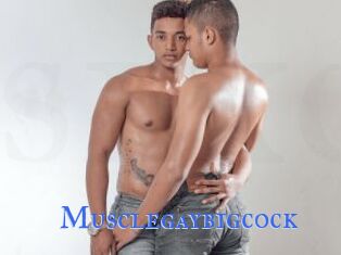 Musclegaybigcock