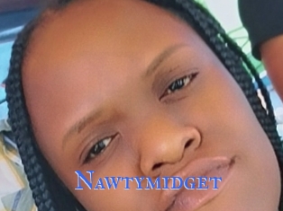 Nawtymidget