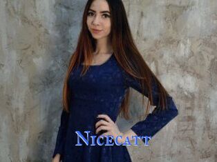 Nicecatt