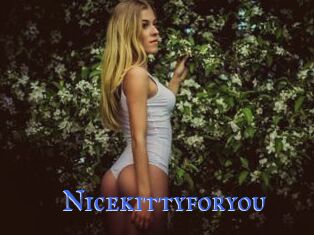 Nicekittyforyou