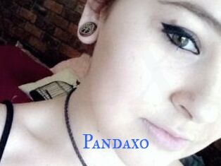 Pandaxo