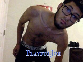 PlayfulJoe