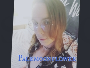 Palemoonflower