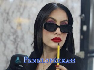 Penelopeekass