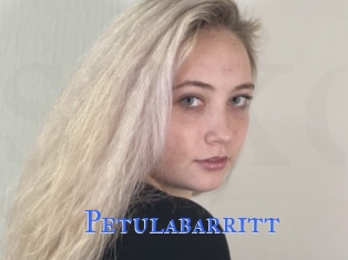 Petulabarritt