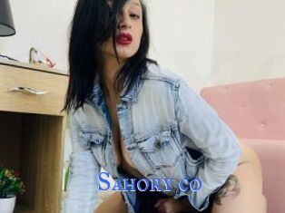 Sahory_co