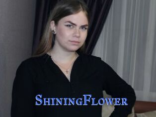 ShiningFlower