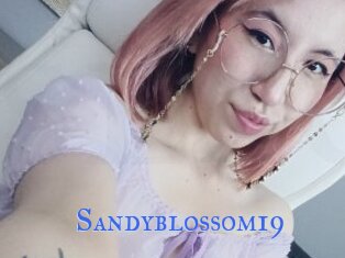 Sandyblossom19