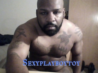 Sexyplayboytoy