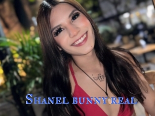 Shanel_bunny_real