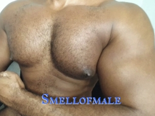 Smellofmale