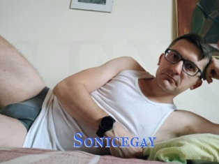 Sonicegay