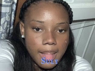 Suly