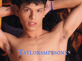 Taylorsmitsonx