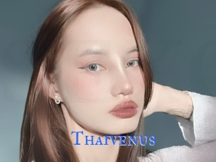 Thaivenus