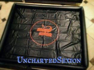 UnchartedSexion