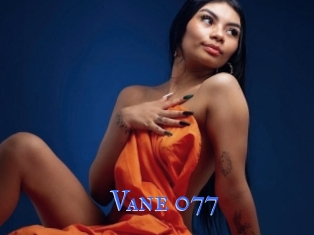 Vane_077