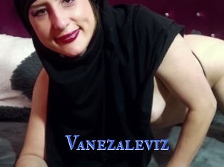 Vanezaleviz