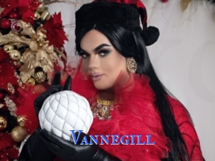 Vannegill