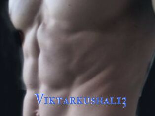 Viktarkushal13