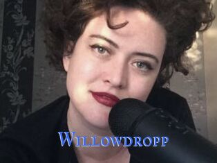 Willowdropp