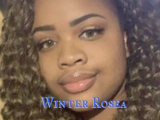 Winter_Rosea