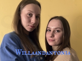 Willaandantonia