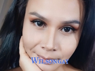 Wilsongay