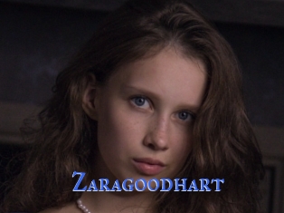 Zaragoodhart