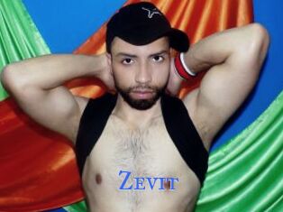 Zevit